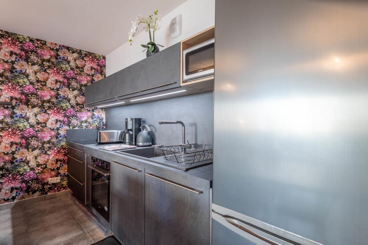 Vire Moulin Furnished Flat Apartment Annecy Exterior foto